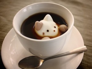 マシュマロ専門店やわはだ　CafeCat